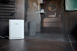ecoQ DryAir 12L Luftentfeuchter mit Hygrostat, 12 l/24h Entfeuchtungsleistung für Räume bis 50 m².