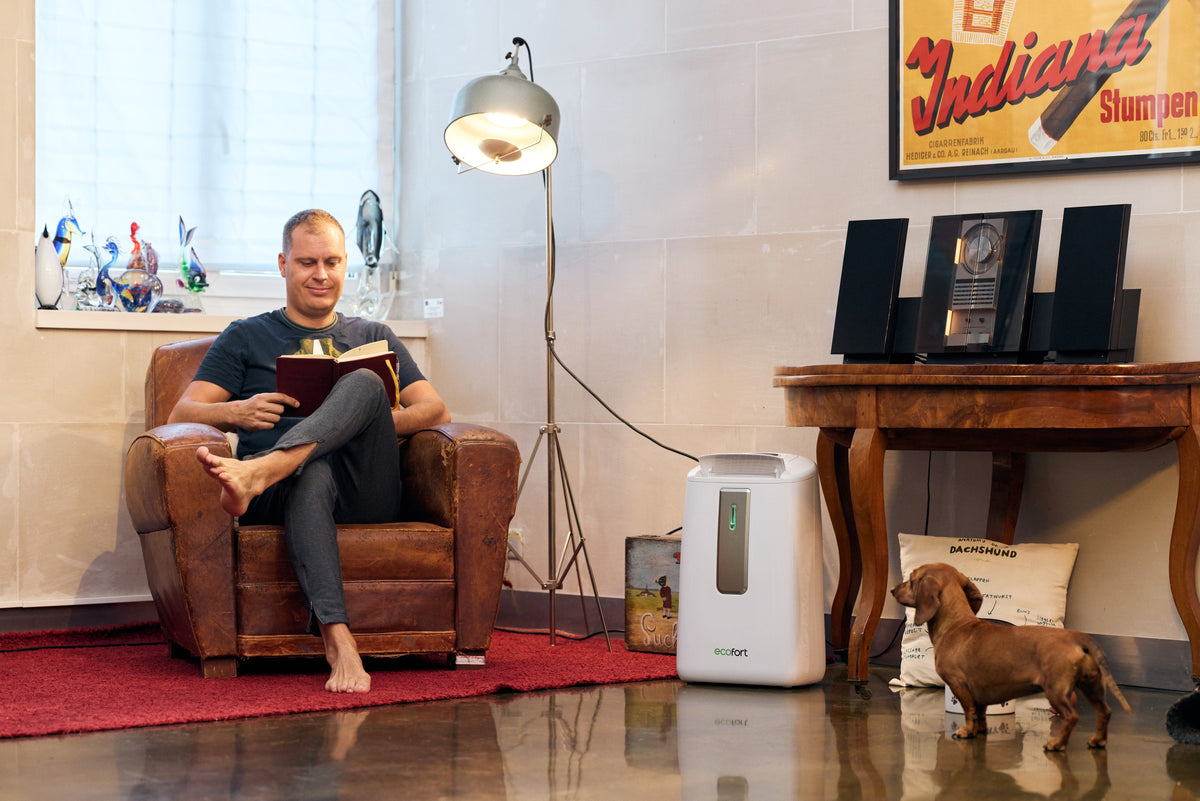 ecoQ DryAir 20L Luftentfeuchter mit Hygrostat, 20 l/24h Entfeuchtungsleistung, optimal für Räume bis 50 m².