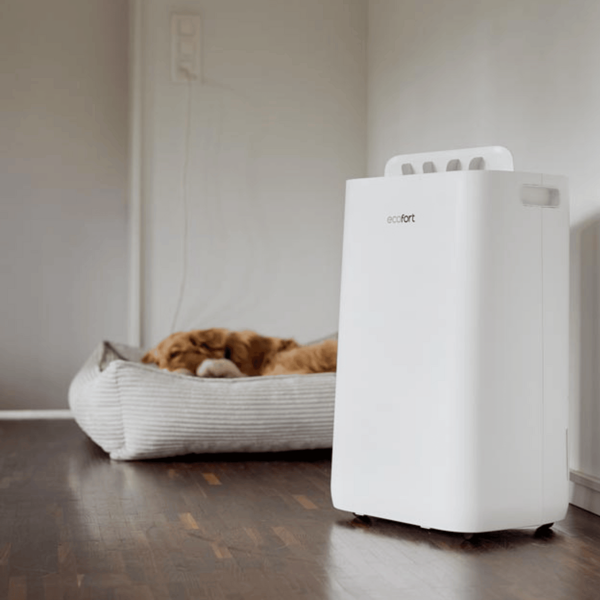 ecoQ DryAir 25L Luftentfeuchter mit Hygrostat und Kindersicherung für bis zu 60 m² grosse Räume.