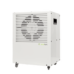 Stabilisiere das Kellerklima mit Stil: Der ecodry CaveMaster Oyster White überzeugt durch Design, Effizienz und konstante Entfeuchtung.