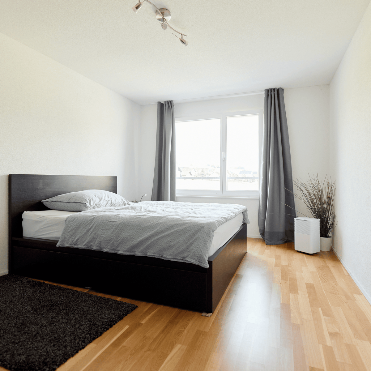 Trockene Luft, ganz einfach: ecoQ DryAir 12L Essential entfeuchtet zuverlässig, energieeffizient und unauffällig – perfekt für kleine bis mittlere Räume.
